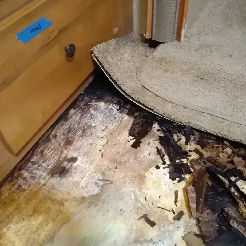 Wood Floor Water Damage in Calhoun County, SC